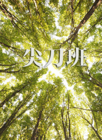 色妞干网